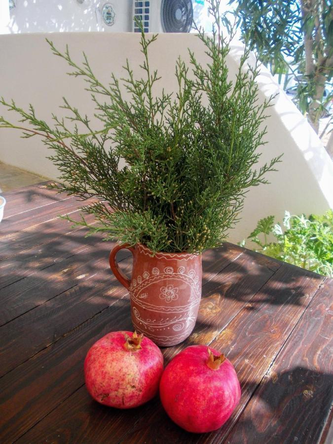 Nyfes Traditional Boutique Frosyni Σκύρος Εξωτερικό φωτογραφία