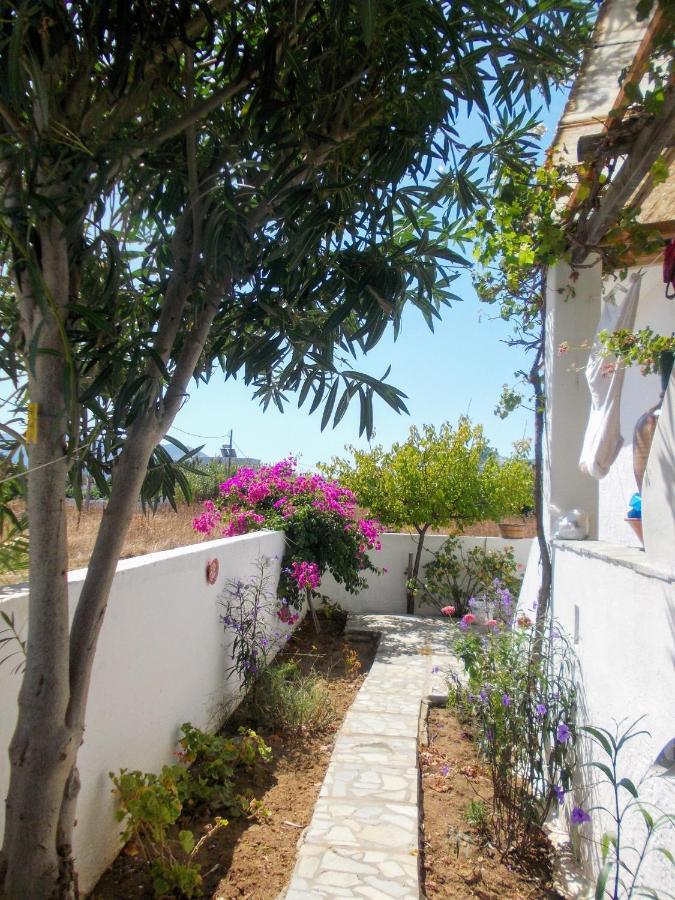 Nyfes Traditional Boutique Frosyni Σκύρος Εξωτερικό φωτογραφία