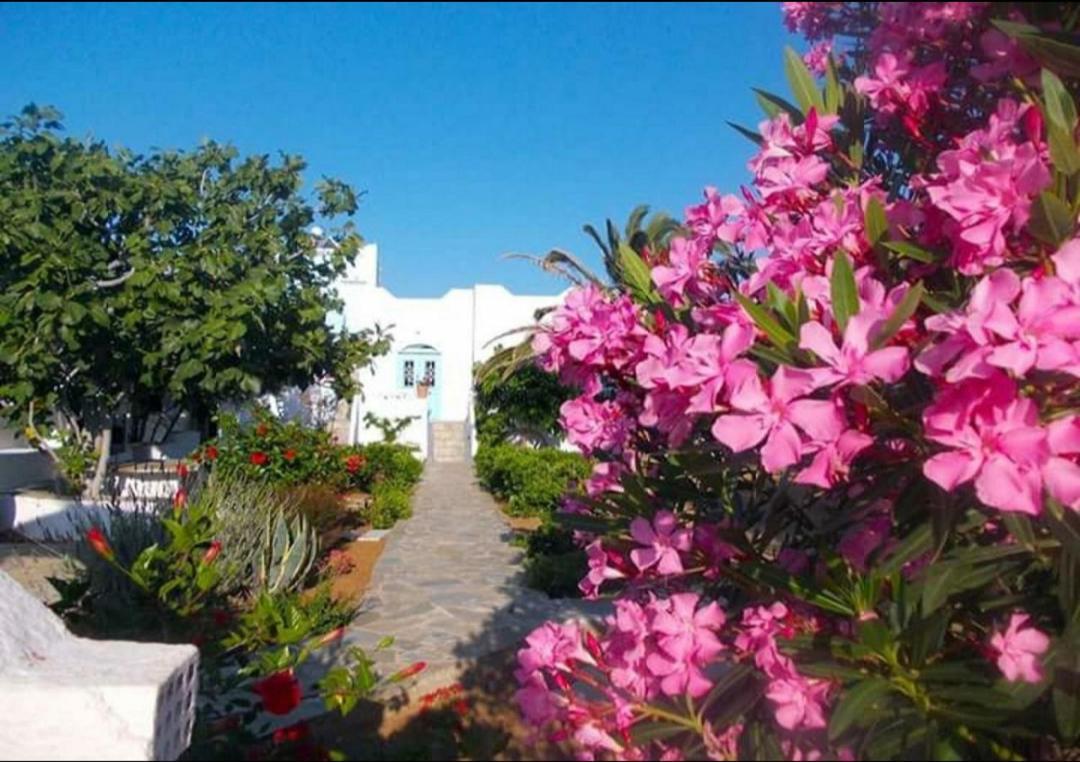 Nyfes Traditional Boutique Frosyni Σκύρος Εξωτερικό φωτογραφία