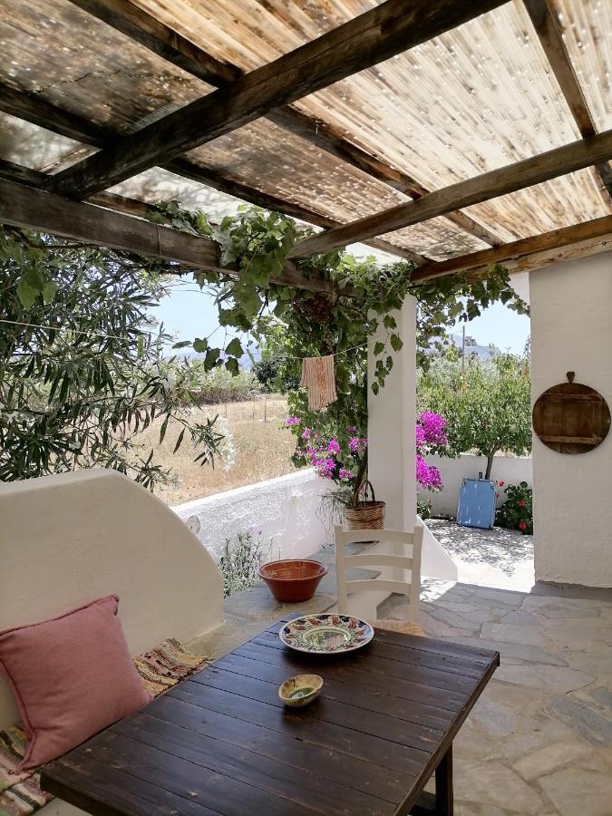 Nyfes Traditional Boutique Frosyni Σκύρος Εξωτερικό φωτογραφία